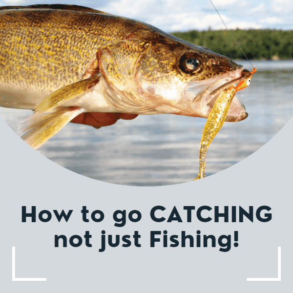 How to go Catching, Not just Fishing Steinhatchee Marina at Deadman Bay